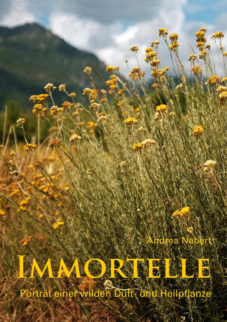 Immortelle: Porträt einer Duft- und Heilpflanze