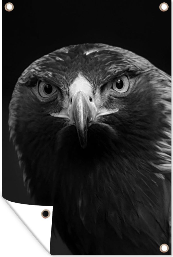 MuchoWow 80x120 cm Outdoor-Poster Gartendeko Sichtschutz Garten Poster für den Garten Bussard - Vogel - Tiere - Schwarz - Weiß