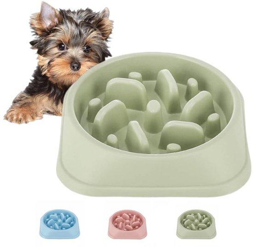 Anti-Rutsch-Futterschale mit Puzzel, langsam essend, grün, sicher