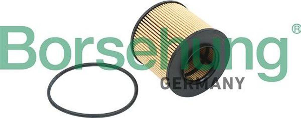 Borsehung B12821 Ölfilter OE 03C115562 kompatibel mit A3 8P, Altea, Altea XL, Cordoba, Ibiza, Leon, Toledo, Fabia, Octavia, Roomster, EOS, Golf Pl...