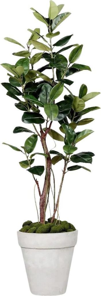 aplanta Künstlicher Gummibaum - Mulan | 220 cm, Real Touch, für drinnen, Kunstbaum, wie echt, Allergiker geeignet, pflanzliche Dekoration Praxis,...