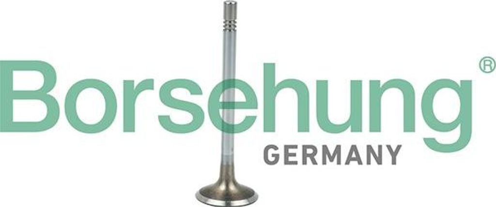 Borsehung B19021 Einlassventil OE 03L109601 kompatibel mit A1 8X, A3 8P, A3 8V, A4 8K, A4 8W, A5 8T, A5 8F, A6 4F, A6 4G, Q3, Q5, TT, Alhambra, Alt...