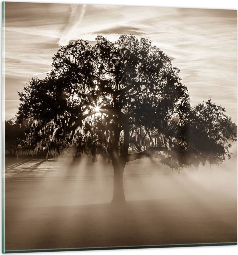 Bilder auf glas - Baum Feld Natur - 50x50cm - Glasbilder - Wandbilder - Kunstdruck - zum Aufhängen bereit - Wanddekoration aus Glas - Glas Bilder ...