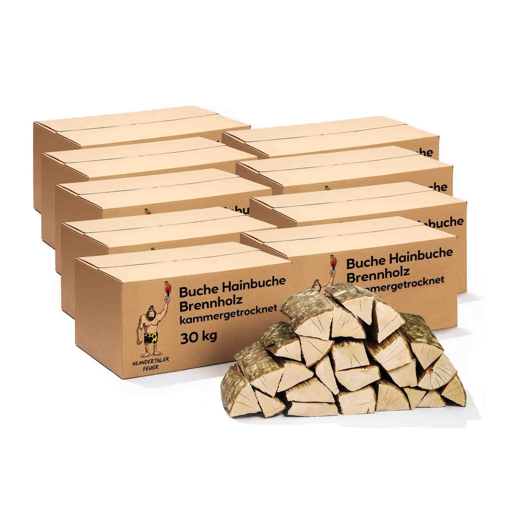 Neandertaler Feuer Brennholz Buche Kaminholz - Buchenholz Grillholz 25 cm 270 kg | Hartholz Feuerholz | Holz für Grill Kamin Smoker Ofen | Firewood