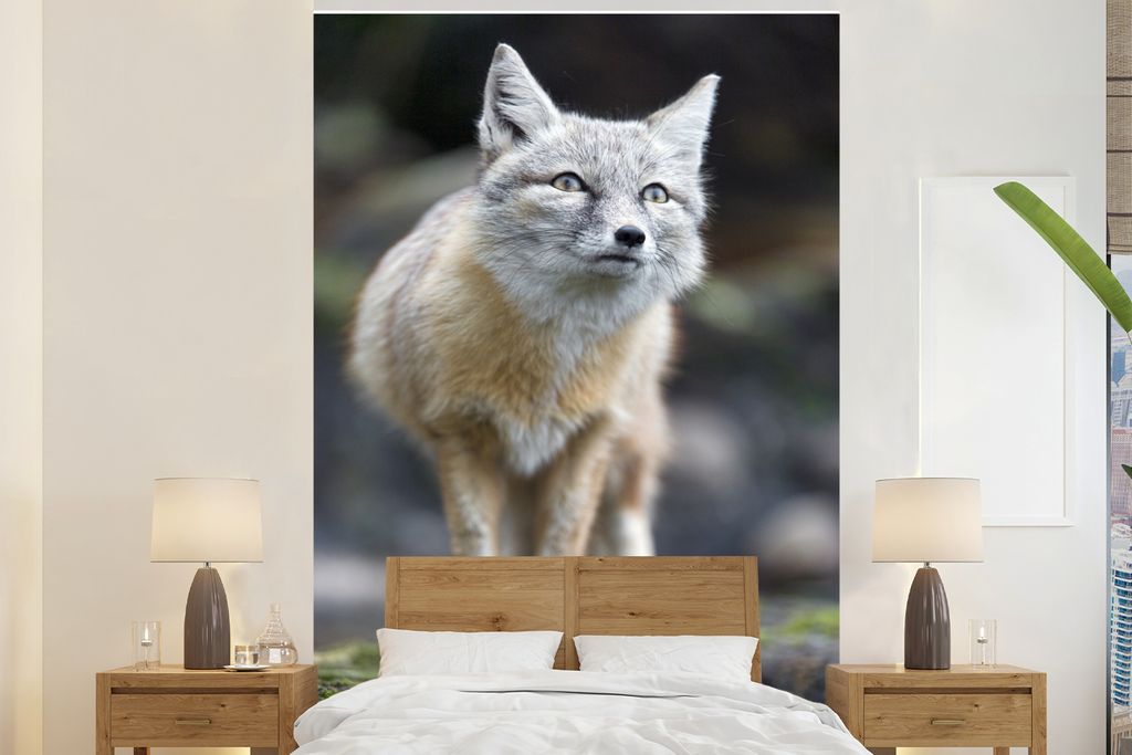 MuchoWow Fototapete für Wohnzimmer oder Schlafzimmer Wandtapete Vinyl Motivtapete Fuchs - Makro - Baum - 200x300 cm - Wanddekorationen