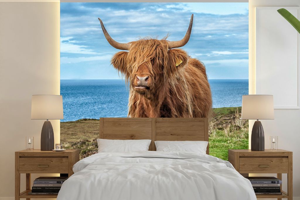 MuchoWow Fototapete für Wohnzimmer oder Schlafzimmer Wandtapete Vinyl Motivtapete Schottische Highlander - Wolken - Landschaft - 350x350 cm - Sc...