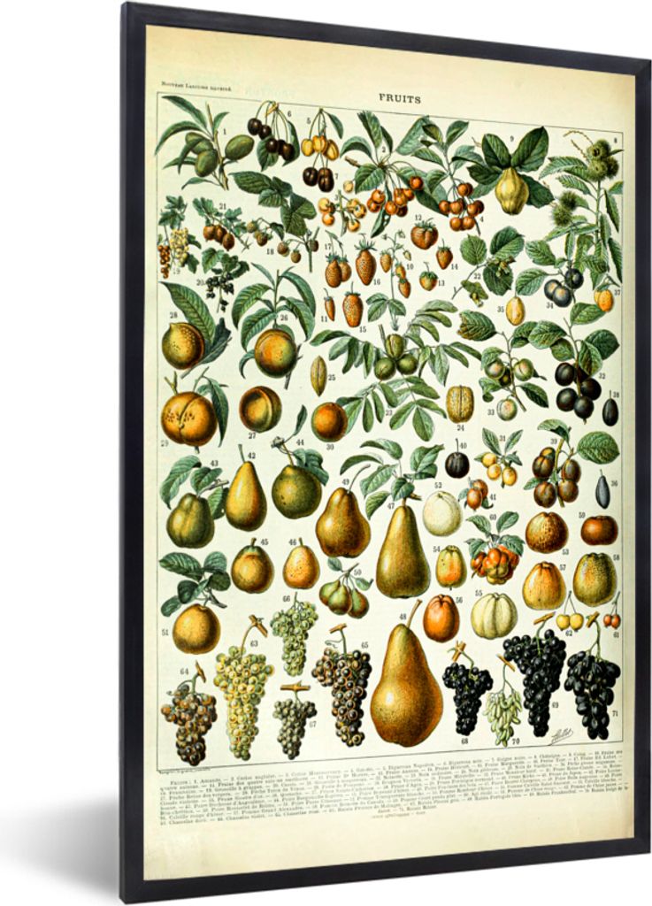 MuchoWow Gerahmtes Poster Adolphe Millot - Jahrgang - Obst - Birne - Trauben 60x90 cm - Poster mit Schwarzem Bilderrahmen Wandposter Rahmen Foto ...