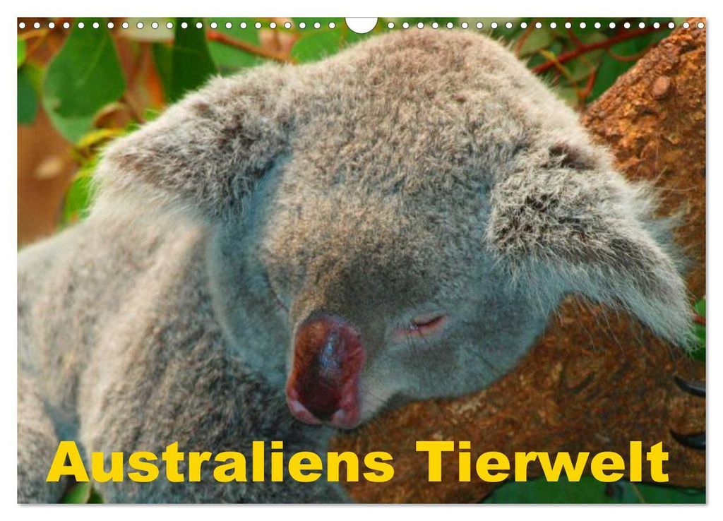 Australiens Tierwelt (Wandkalender 2027 DIN A3 quer), CALVENDO Monatskalender