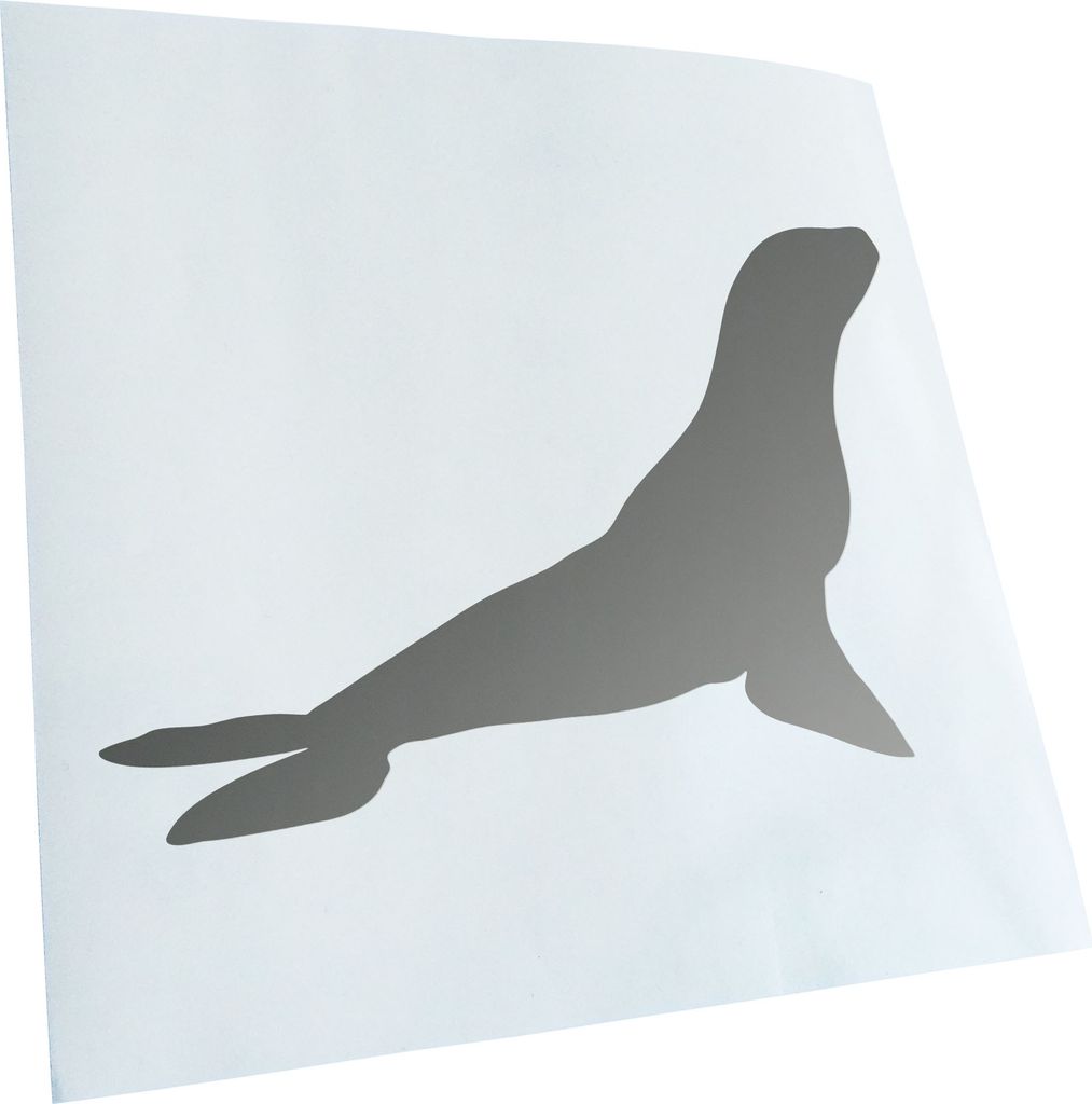 hauptsachebeklebt Kiwistar - Autoaufkleber - Robbe - Seehund - Antarktis Heckscheibe - Aufkleber für Auto Kfz Fahrrad, LKW, Truck Mofa