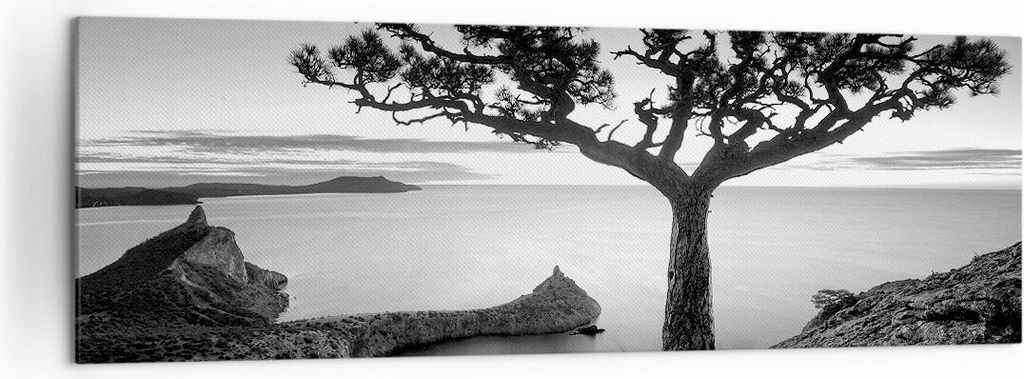 Bild auf Leinwand - Leinwandbild - Einteilig - Baum Schwarzweiß Ansicht - 160x50cm - Wand Bild - Wanddeko - Wandbilder - Leinwanddruck - Bilder - ...