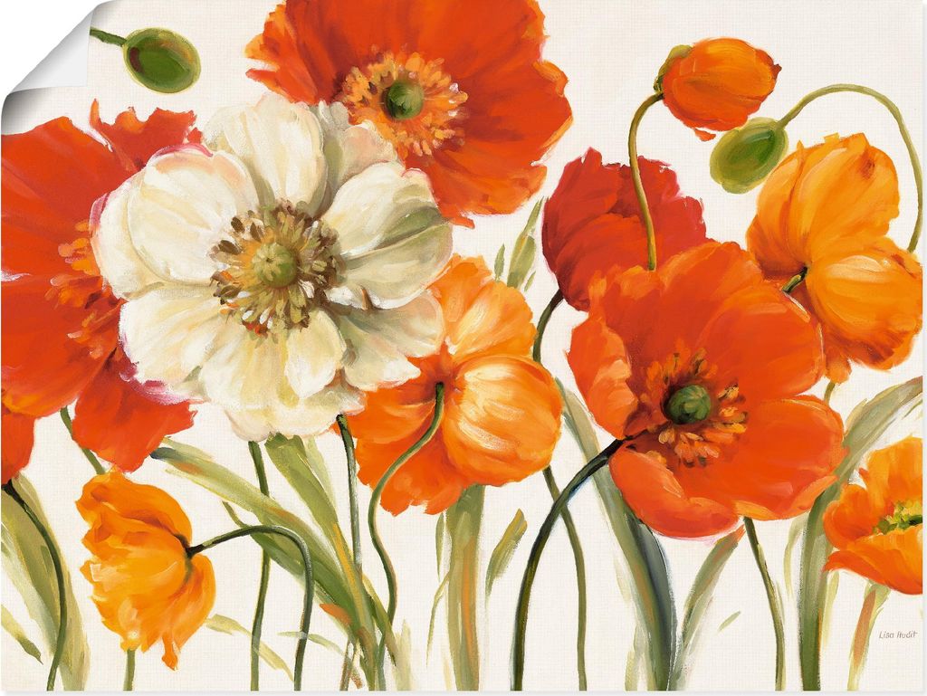 ARTland Poster Mohnblumen I Größe: 60x45 cm