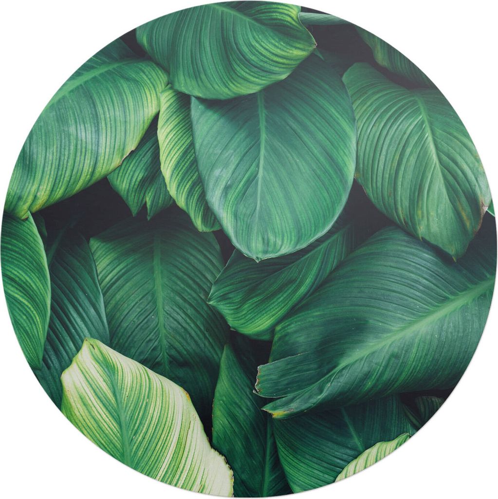 Tropische Blätter – Bodenschutzmatte – Stuhlunterlage – Bürostuhlmatte – Rutschfeste Bodenmatte – Schutzmatte für Hartboden – fi 100 cm