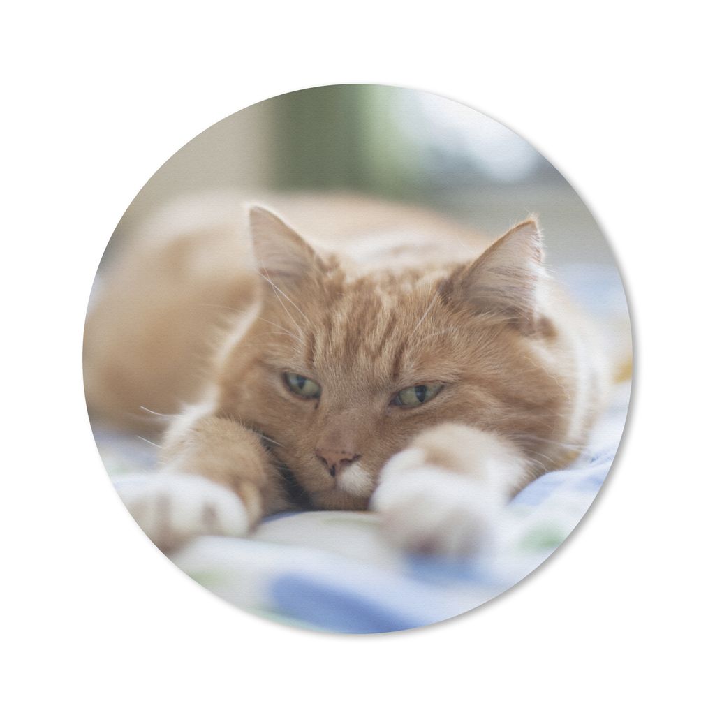 MuchoWow Mauspad Mousepad Katze - Bett - Tagesdecke - Mädchen - Kinder - Kinder - Kind 50x50 cm - Mousepads - Maus Mat - Pad - Mausunterlage - V...