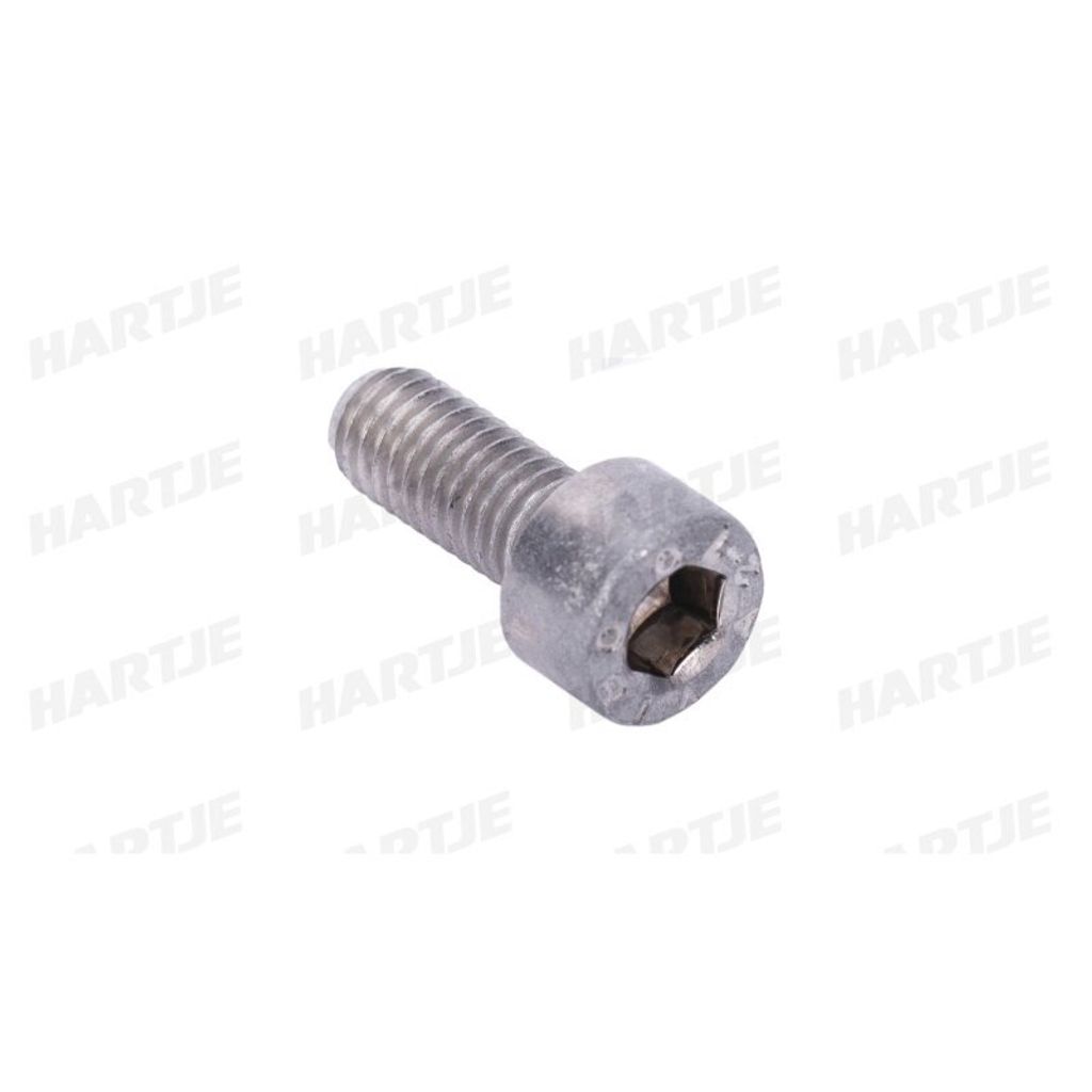 Dresselhaus Zylinderschrauben 6X14Mm A2 Mit Innen-6Kt. 500 St.