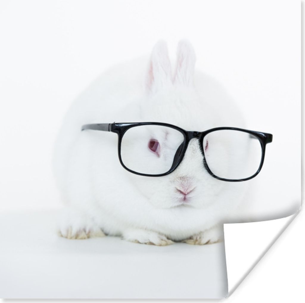 MuchoWow Poster Kaninchen - Brille - Hipster 50x50 cm - Wohnzimmerdekoration