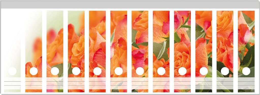 Wallario Ordnerrücken Sticker, selbstklebend für breite Ordner, 12 Stück, Motiv Orangene Rosenblüten im Strauß