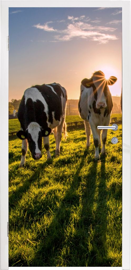 MuchoWow Türtapete Selbstklebende Türfolie Kühe - Sonne - Gras - Tiere - Bauernhof 90x215 cm Türposter Türaufkleber Klebefolie Türklebefoli...