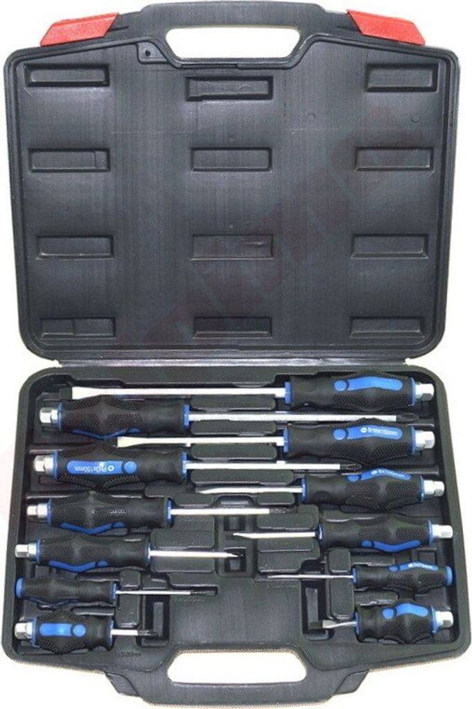 Schraubendreher Set 12 Pcs