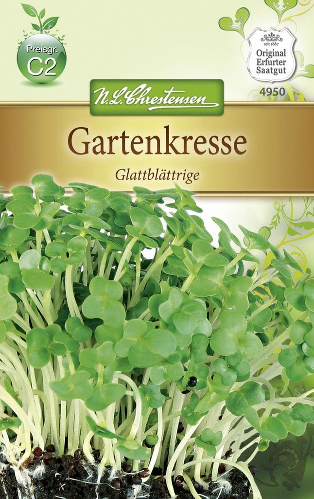 Gartenkresse Glattblättrige | Kressesamen von N.L. Chrestensen