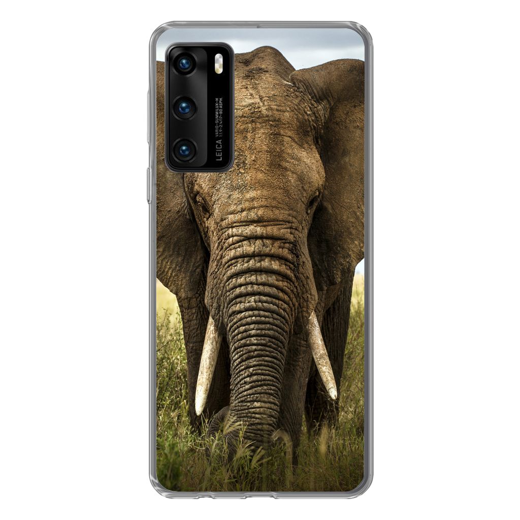 MuchoWow Handyhülle Schutzhülle Hülle für Huawei P40 Elefant - Natur - Gras - Tiere - Landschaft Silikon Softcase Handy Hülle - Handytasche
