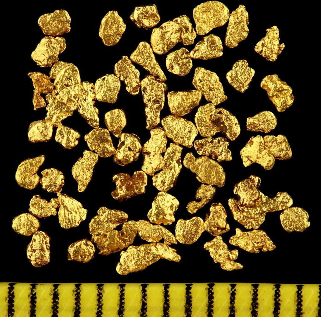 A collection of gold nuggets on a black background with a ruler at the bottom.