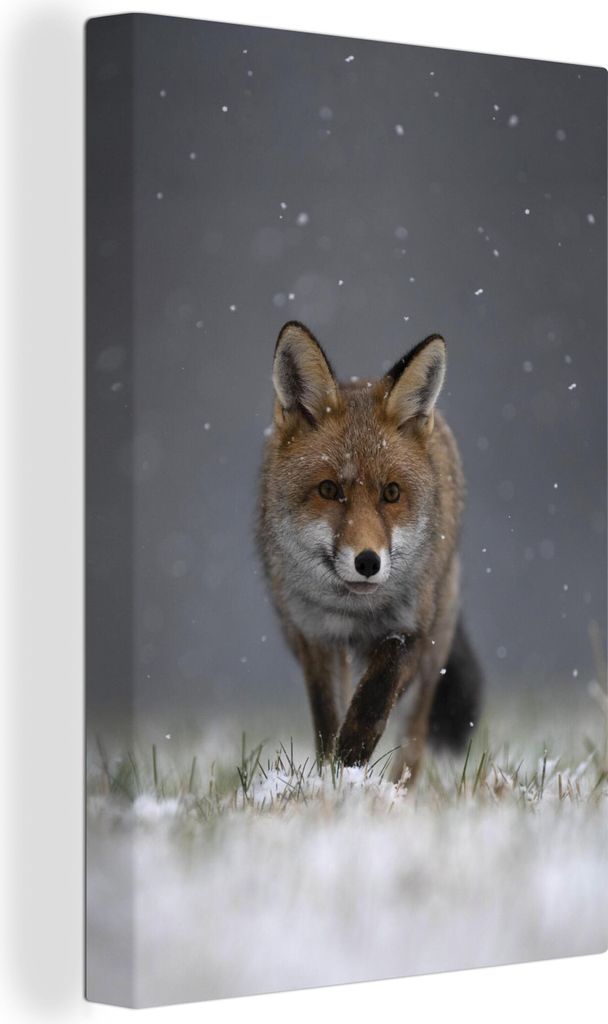 OneMillionCanvasses - Leinwandbilder - 90x140 cm, Fuchs läuft durch das verschneite Gras im Nationalpark Eifel, Wandbilder Kunstdruck Wanddekora...