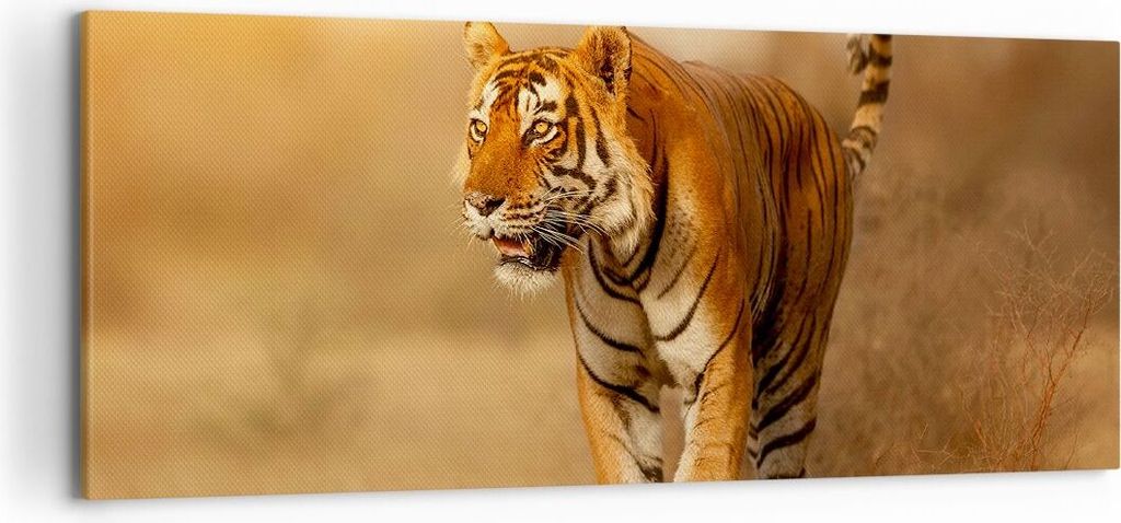 Bild auf Leinwand - Leinwandbild - tiger tier - 120x50cm - Wand Bild - Wanddeko - Wandbilder - Leinwanddruck - Bilder - Kunstdruck - Wanddekoration...