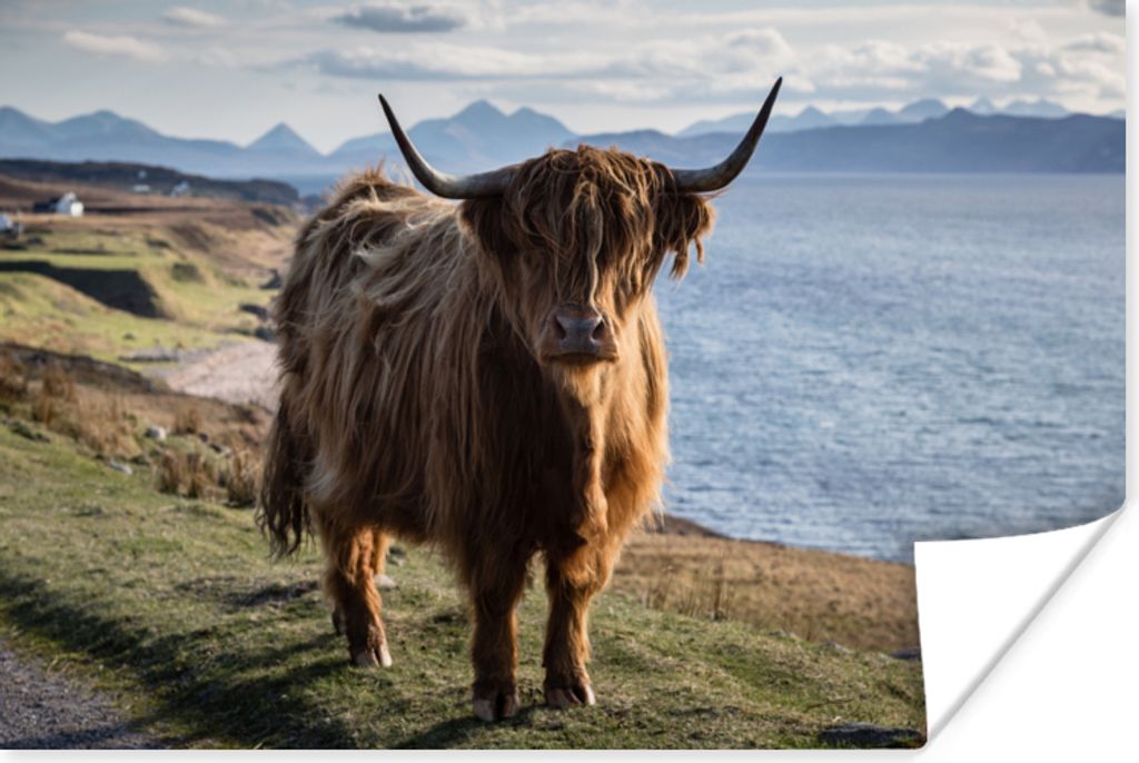 MuchoWow Poster Schottische Highlander - Bergen - Meer 180x120 cm - Fotoplakat