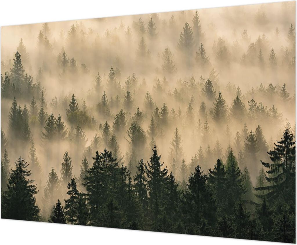 Wandtapete - Dekorative Tapete für Wohnzimmer - Tapetenfolie für Wanddekoration - 312x219 cm - Waldnebel