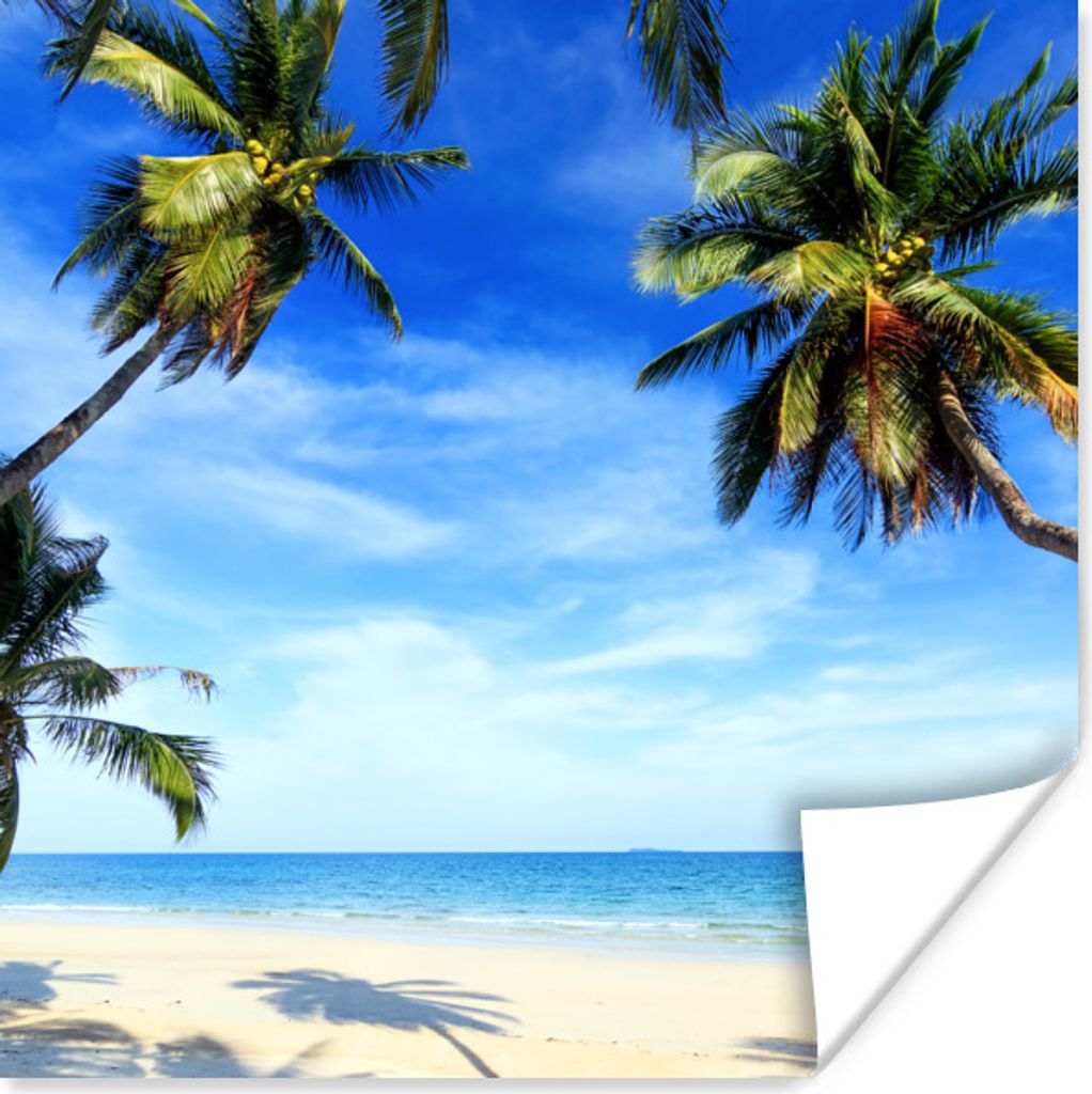 MuchoWow Poster Palmen - Strand - Meer 50x50 cm - Wohnzimmerdekoration