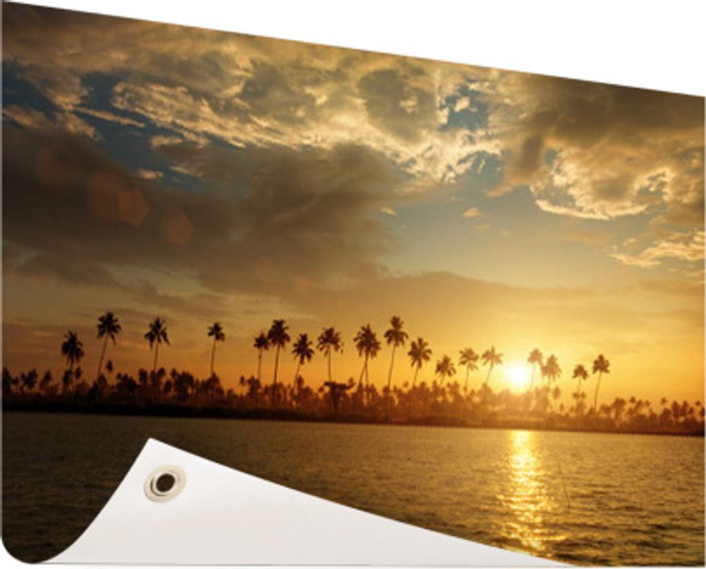 Gartenposter - 60x40 cm - Palmen bei Sonnenuntergang - Modernes Wandbilder - Natur