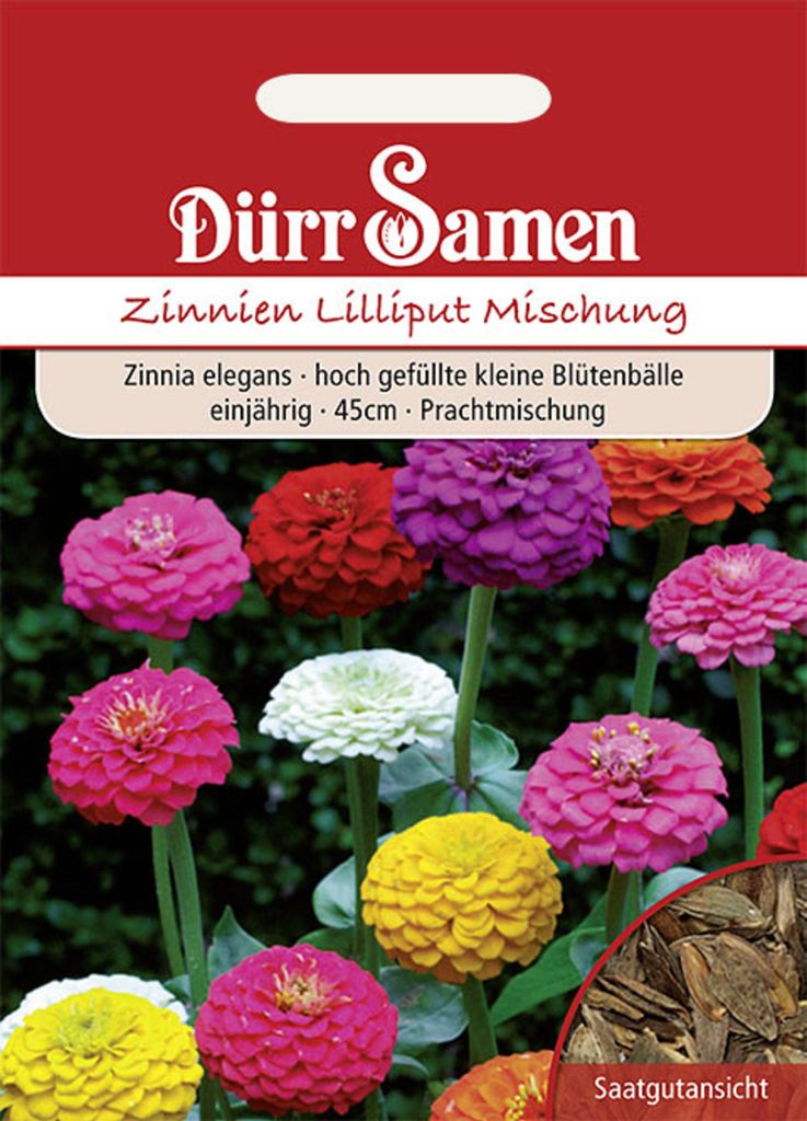 Zinnie Lilliput Mischung | Zinniensamen von Dürr Samen Produktbild 