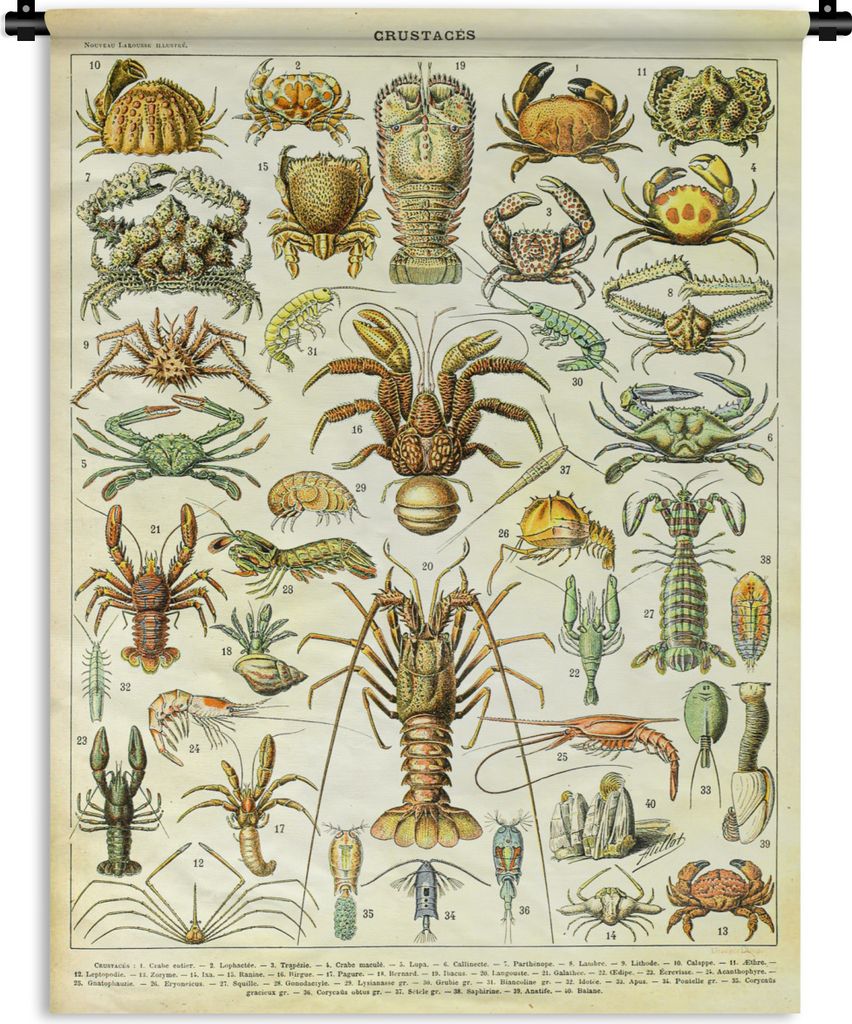 MuchoWow Wandteppich Wandbehang Hummer - Tiere - Meerestiere - Vintage - Adolphe Millot 150x200 cm Tapisserie Dekoration Wandtuch - Wandaufhängu...