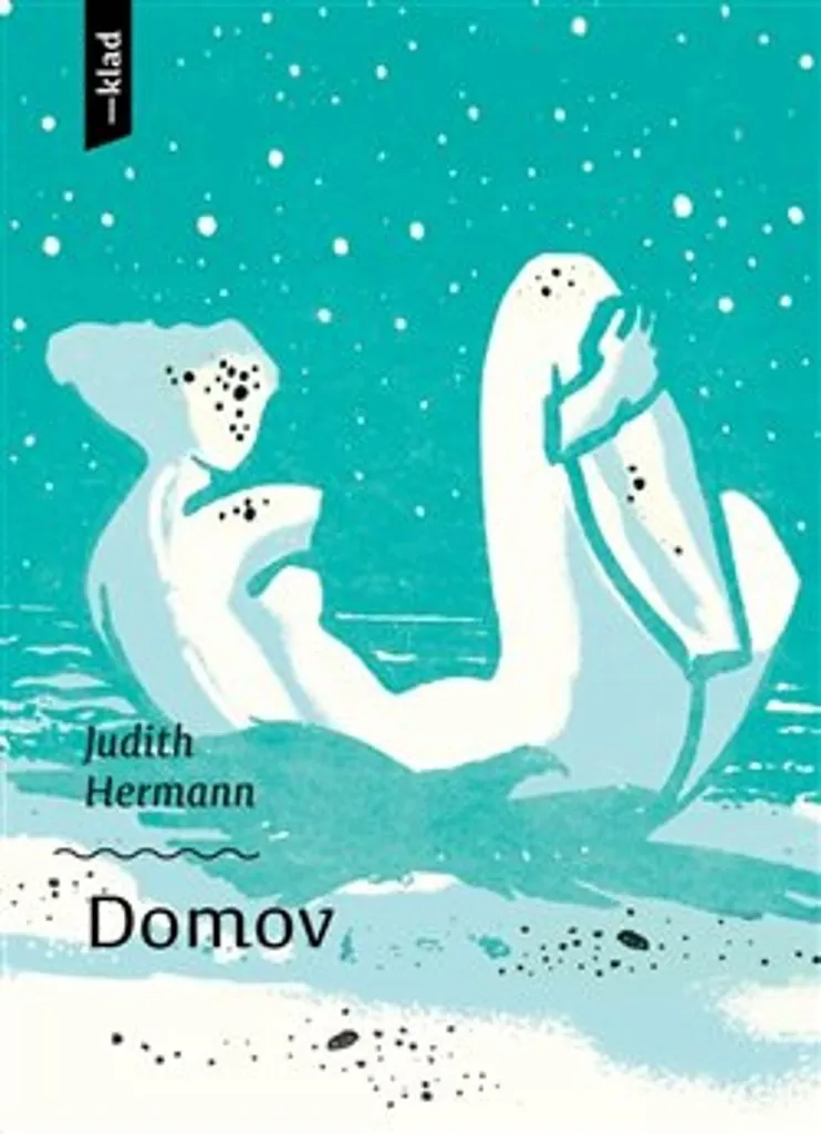 Roman Domov Judith Hermann : Littérature Étrangère de Qualité Reliée
