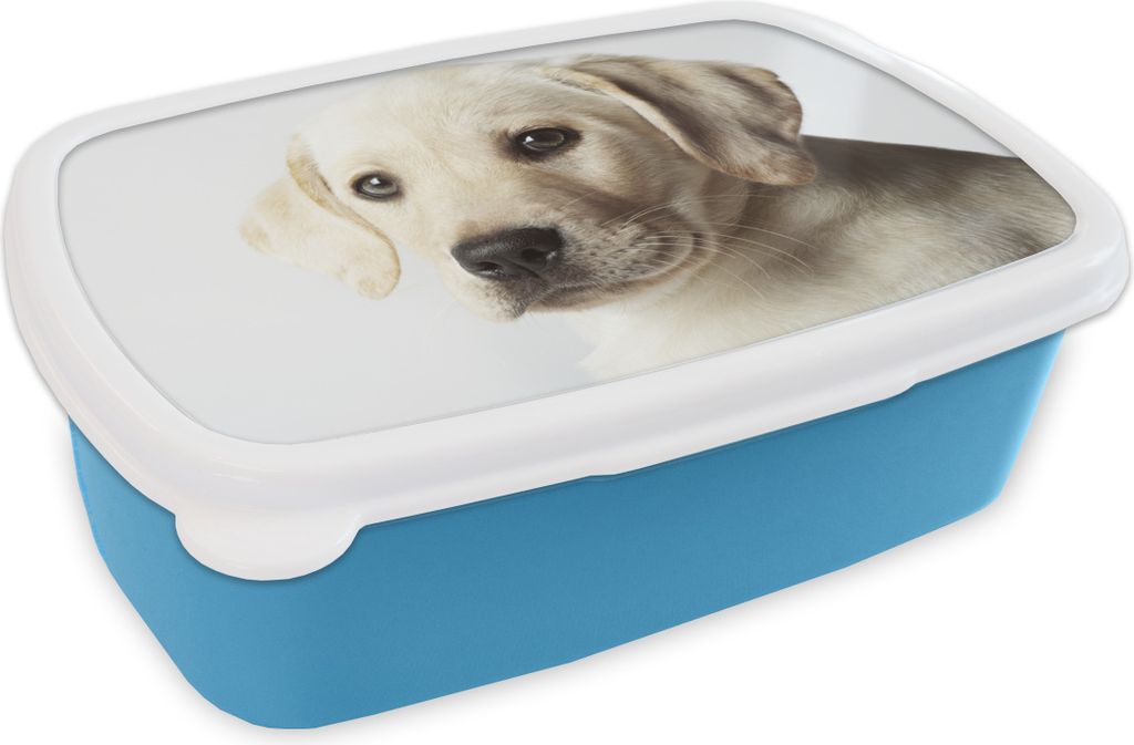 KitchenYeah Lunchbox Brotzeit Brotdose 17x11 cm Labrador Welpe Portrait Kinder Brotzeitdose - Lunch - Kunststoff - Brotbüchse - Sandwichbox - L...