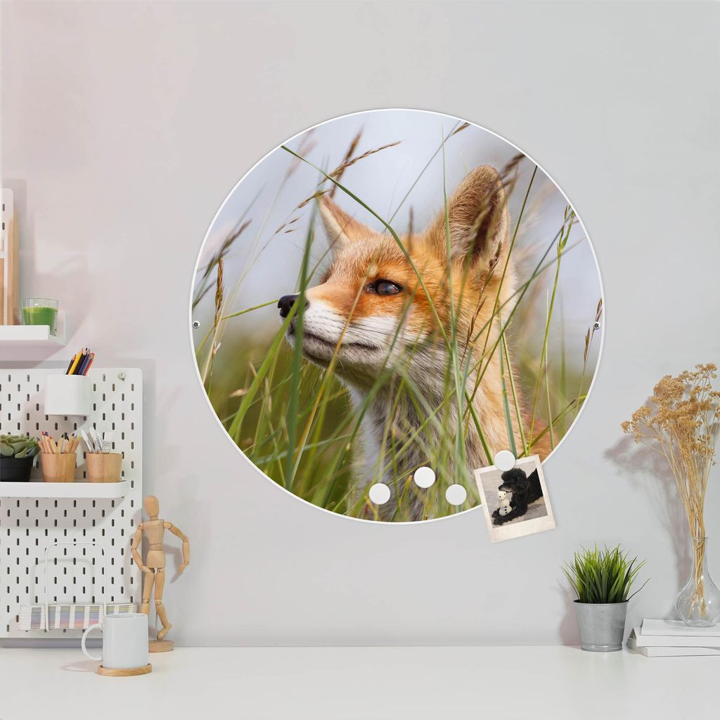 Design Stahlmagnettafel Weiß Rund 47cm Fuchs