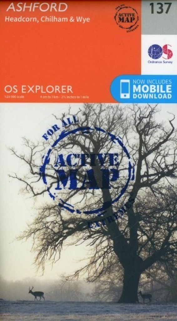 Ashford 1 : 25 000