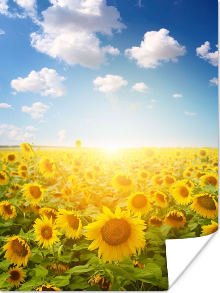 MuchoWow Poster Sonnenblume - Sonne - Wolken 30x40 cm - Wandplakat - Poster Kinderzimmer