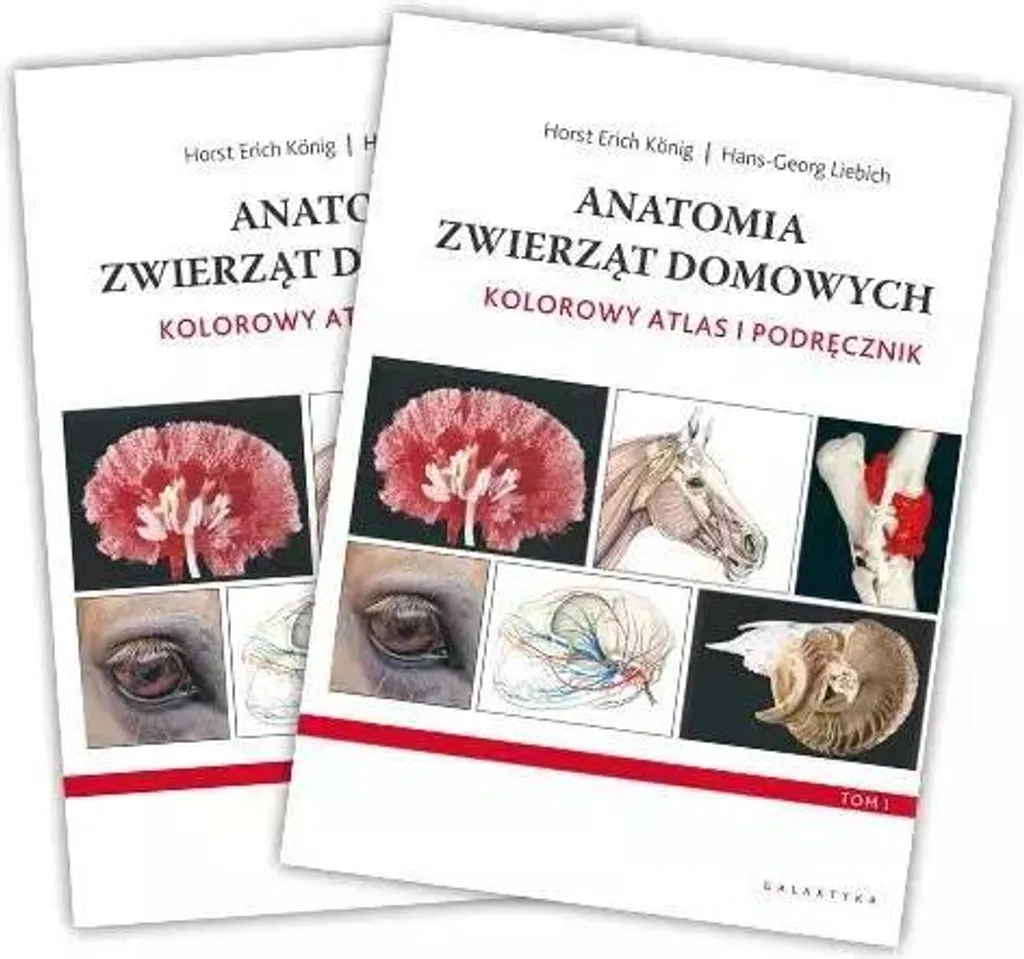 Comprendre l'anatomie animale complexe avec l'Atlas couleur Volume 4