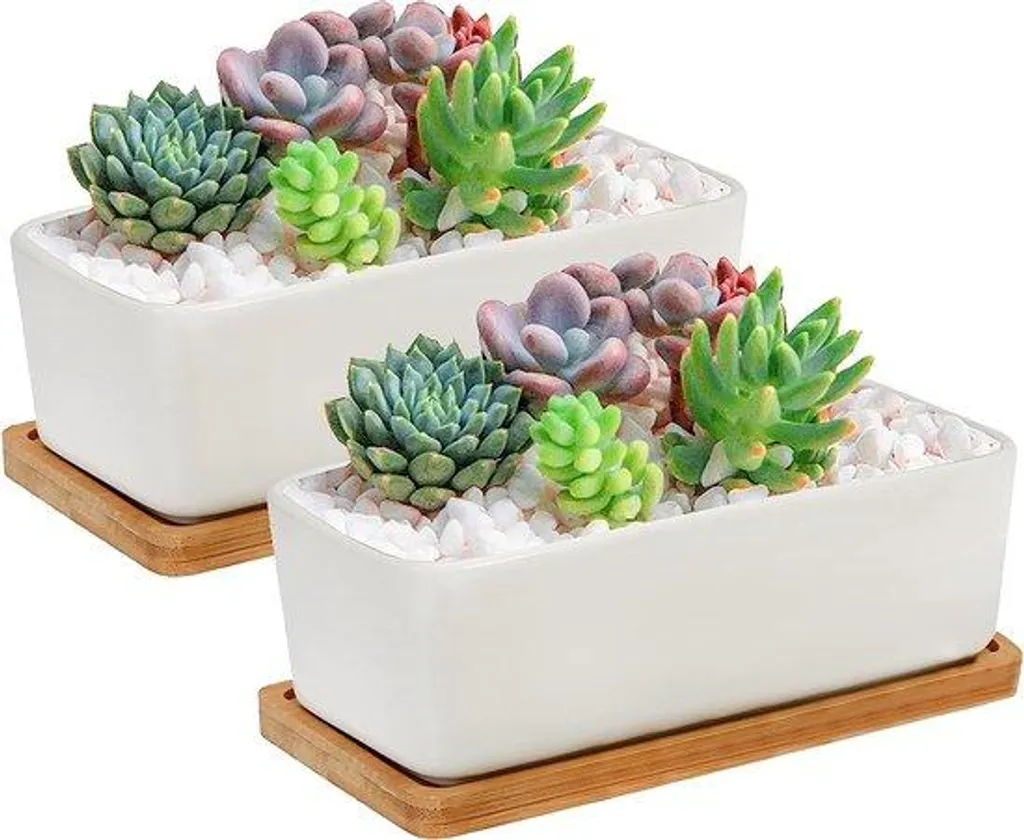 Lot de 2 jardinières rectangulaires en céramique blanche avec bambou