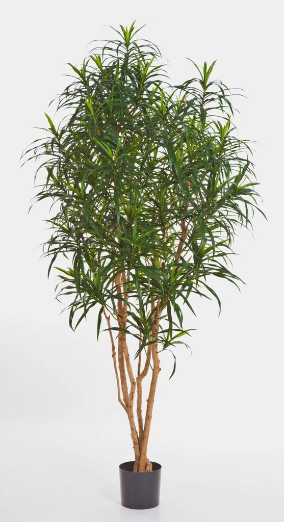 artplants.de Künstliche Dracaena Anita, 1570 Blätter, grün, 180cm - Kunstbaum - Kunstpalme - Künstliche Pflanze