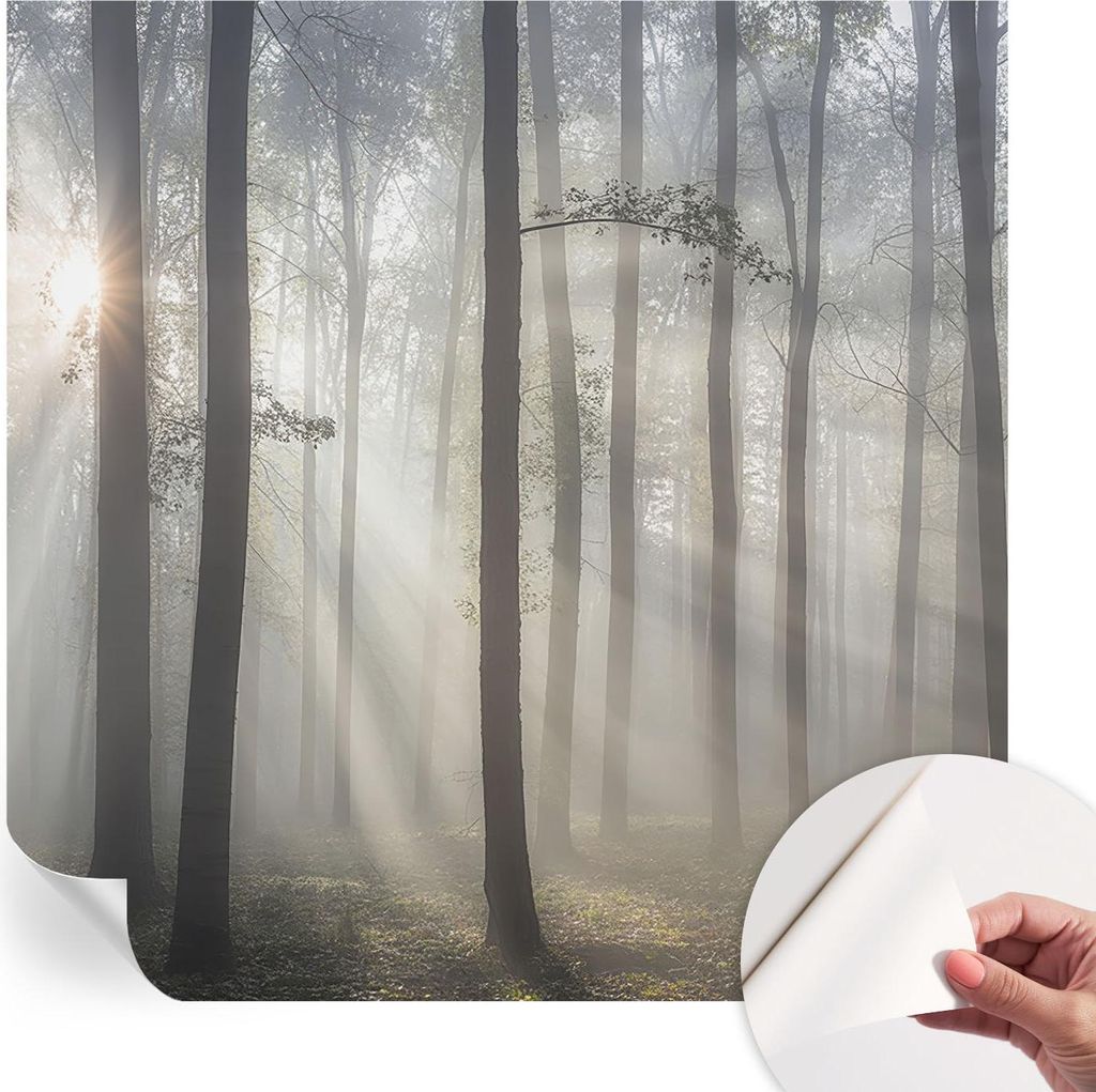 Selbstklebende Wandtapete - Dekorative Tapete für Wohnzimmer - Klebefolie für Wandbilder - Tapetenfolie für Wanddekoration - 250x250 cm - Äther...