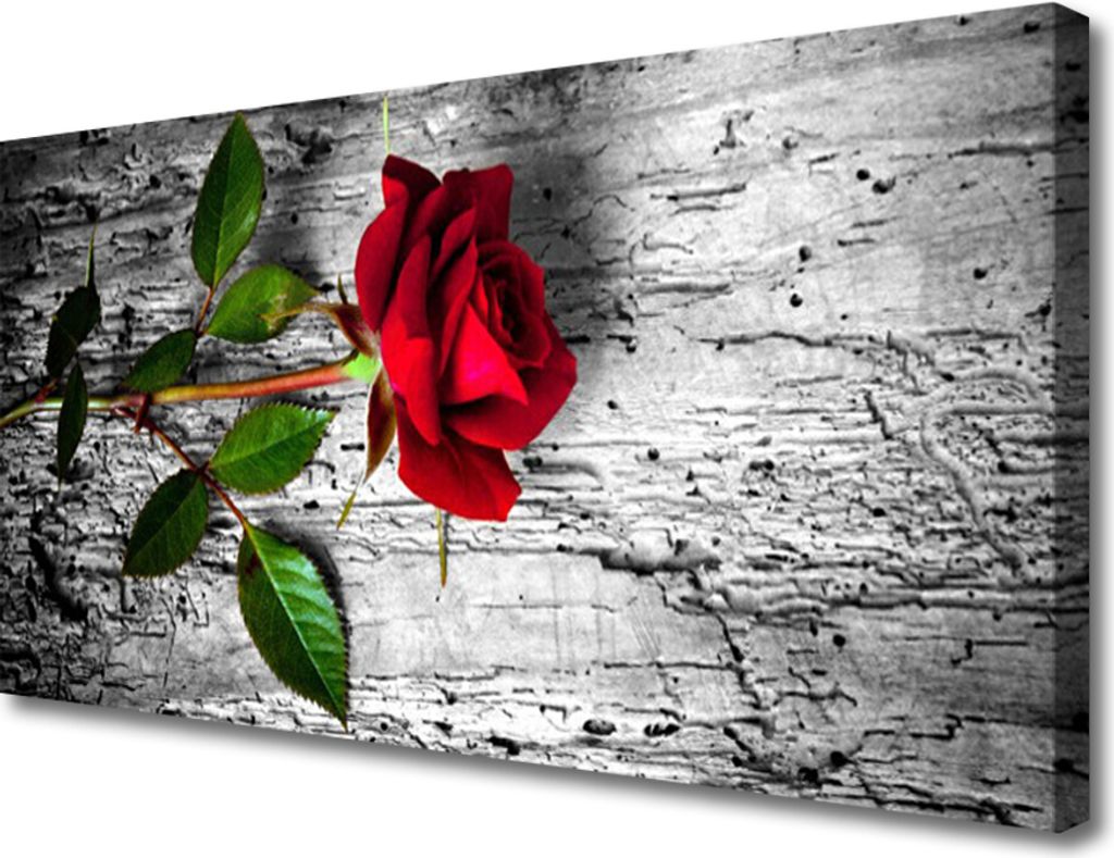 Tulup Leinwand-Bilder 100x50 Wandbild Canvas Kunstdruck Rose Pflanzen