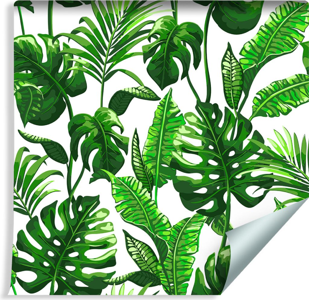 10m VLIES TAPETE Rolle Grüne Monstera Palmem Blätter NATUR Produktbild 