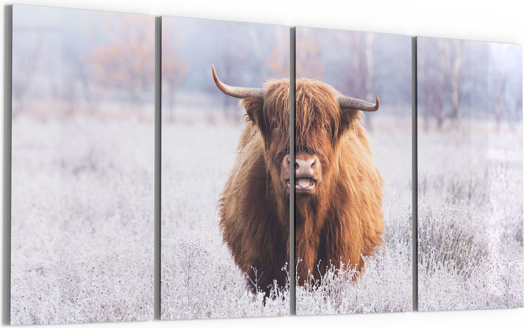 DEQORI Glasbild Echtglas 4x30x60 cm 'Frostiger Hochlandblick' Wandbilder XXL groß
