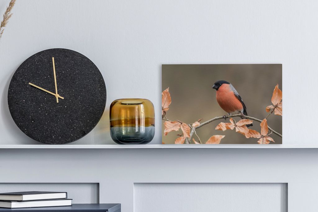 MuchoWow - Leinwandbilder - Vogel - Laub - Herbst - Gimpel -, Wandbild, Wanddeko Bilder Wohnzimmer, 30x20 cm
