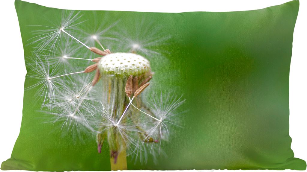 MuchoWow Zierkissen Sofakissen Wohnzimmer Dekokissen 50x30 cm Löwenzahn verliert seine Samen - Wohnzimmerdekoration - Polster mit Photo