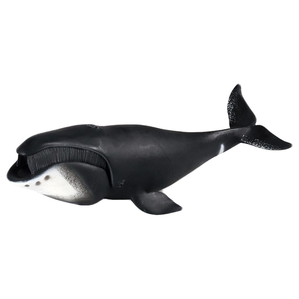 12pcs Tierspielzeug Meerestiere Figuren Tierfiguren Tiermodell Pädagogisches 