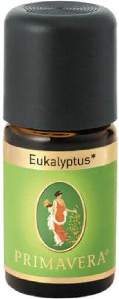 Huile essentielle naturelle Eucalyptus globulus Bio 5 ml Image du produit 