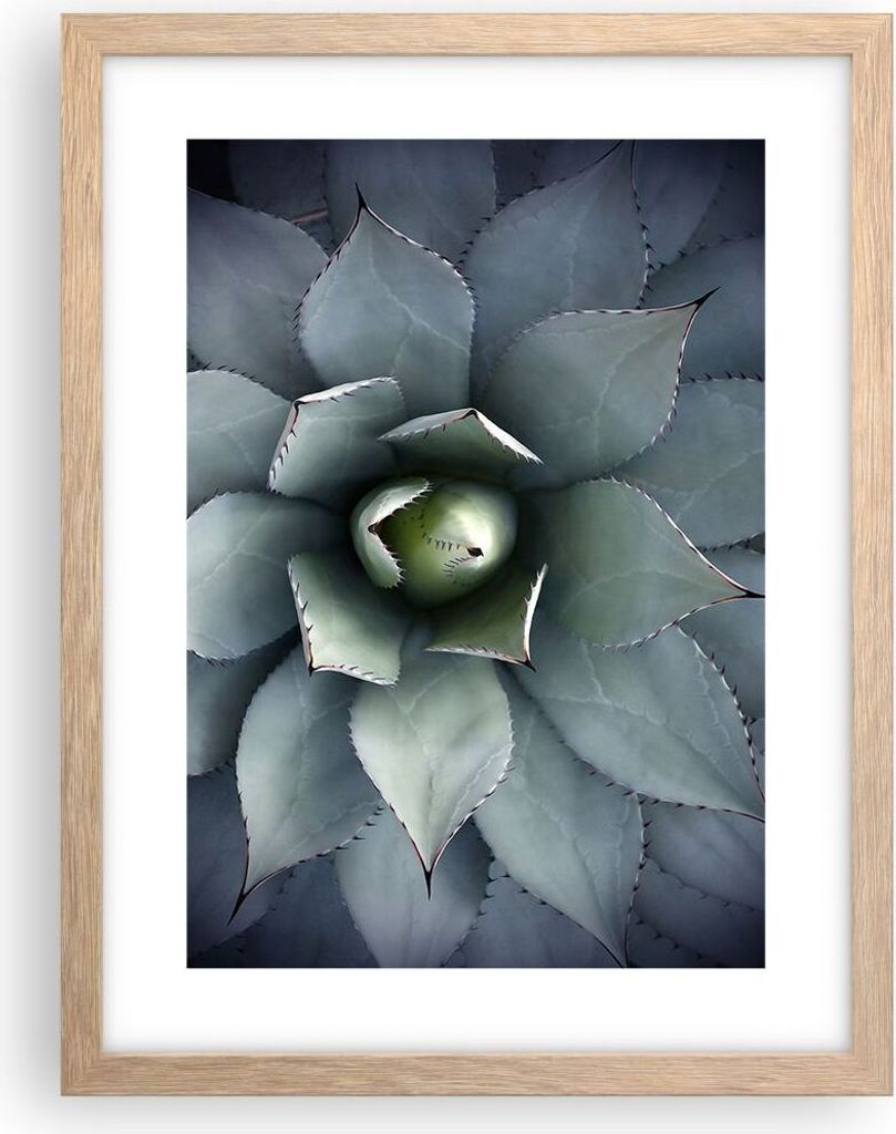 Gerahmtes Poster - Rahmen in heller Eiche - Blau Blätter Agave - 30x40 cm - Wand Bild - Wanddeko - Wandbilder - Kunstposter - Wandposter - Bilderr...